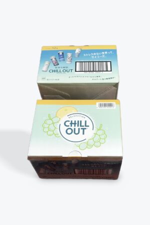 コストコ コカ・コーラ チルアウト リラクゼーションドリンク, 250ml缶, 12本入り2箱セット