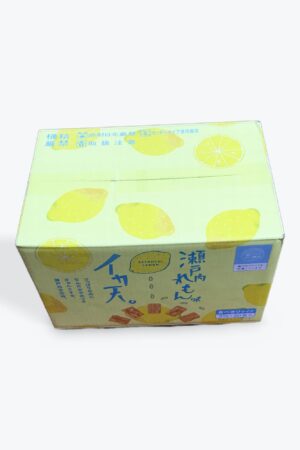魚介類加工品 イカ天瀬戸内レモン味