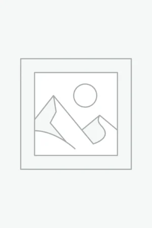 プレースホルダー